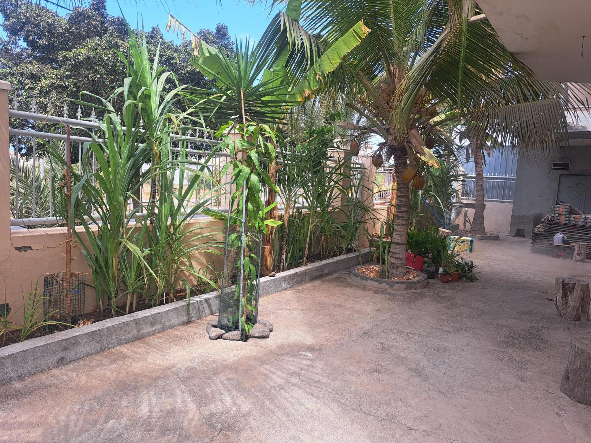 Barros Homestay Таррафал Экстерьер фото